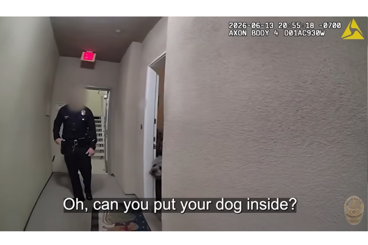 LAPD'den Knicks Taraftarının Köpeğine Ateş: Video Öfke Yarattı