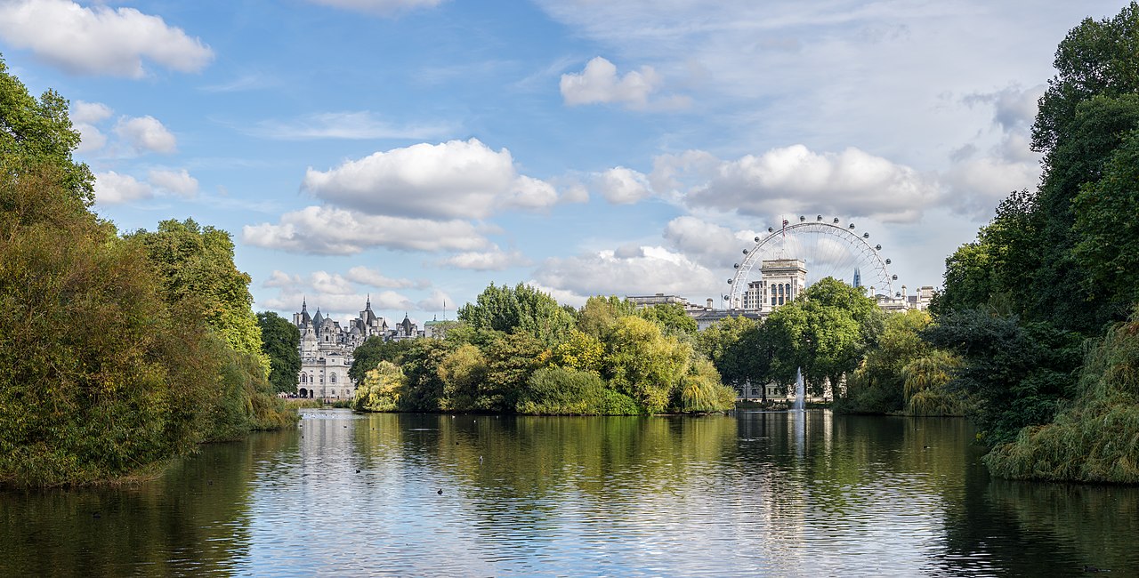 Londra'da 360 Yıl Sonra İlk Pelikan Yavruları