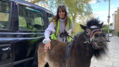 Londra'da siyah taksilerle yolculuk yapan minyatür terapi atı