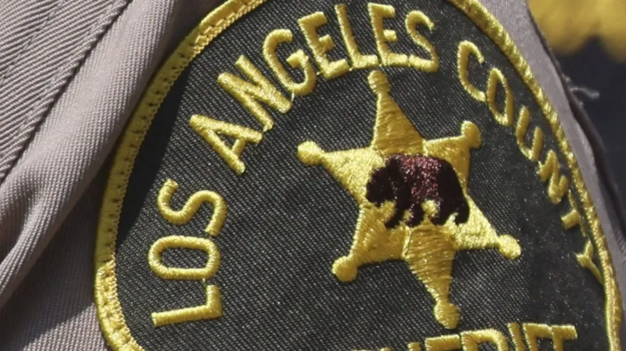 Los Angeles'ta sokak işgali soygun maskesi oldu