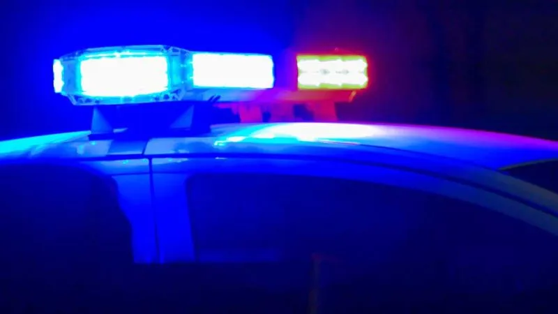 Louisiana'da Timsah Saldırısı: Kaçak Sürücü Yaralı Halde Yakalandı