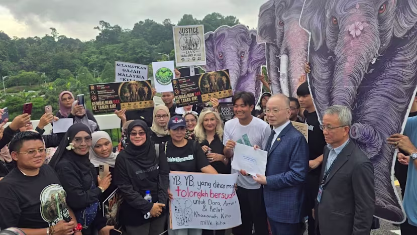 Malezya Filleri Japonya'ya Gönderdi: Yolsuzluk Soruşturması
