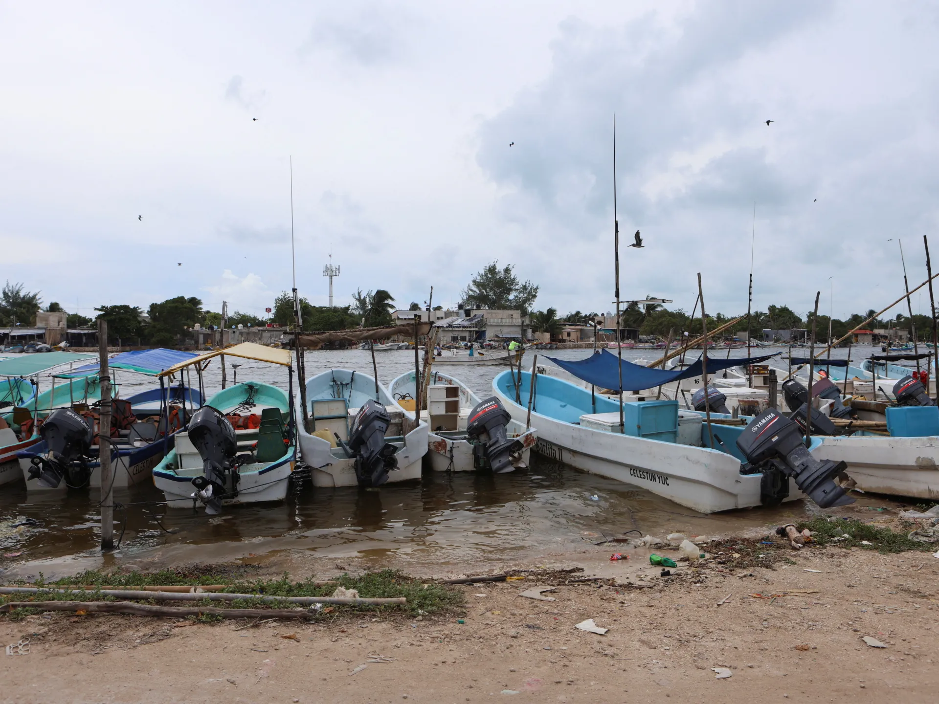 Meksika'da Yucatan yarımadasında içme suyu fekal atıkla kirlendi