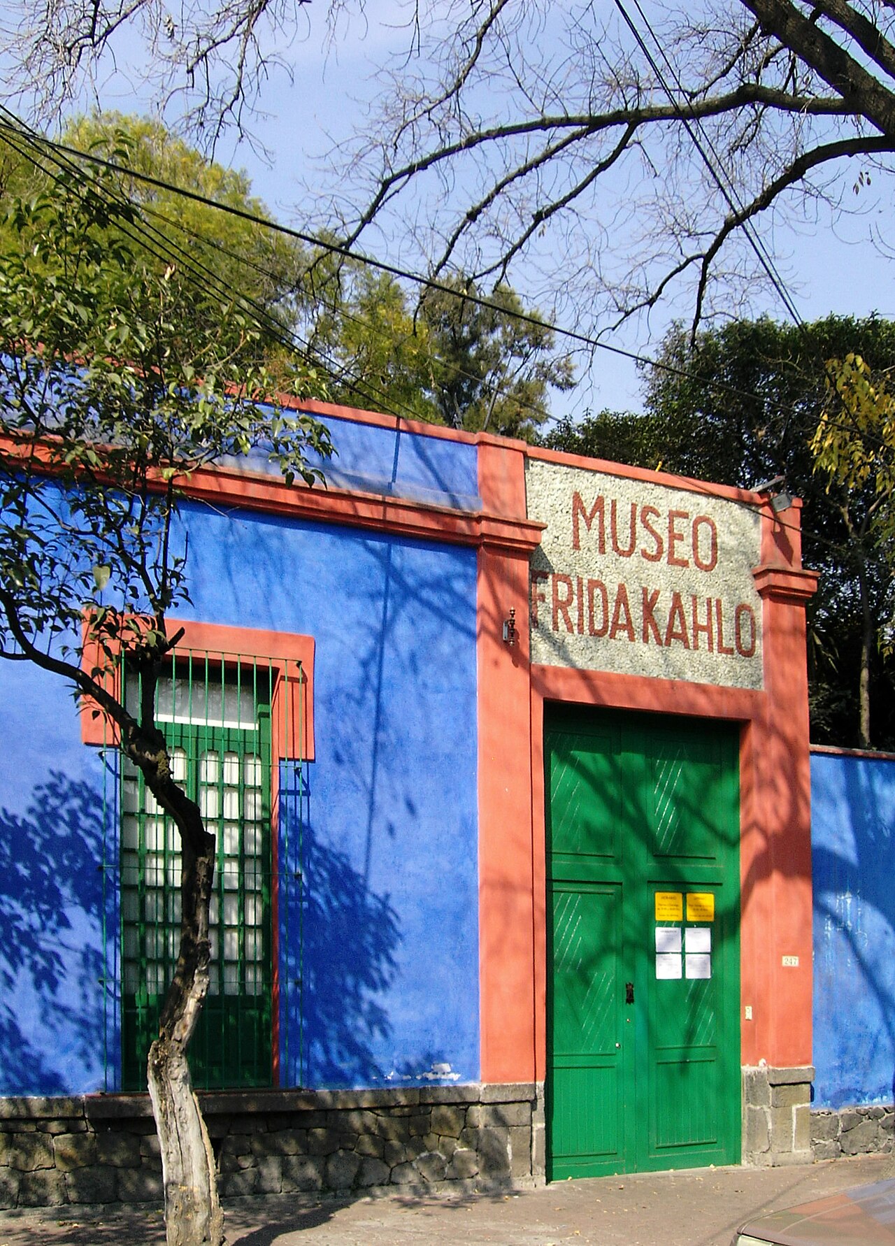 Meksiko'da Frida Kahlo'nun İzinde