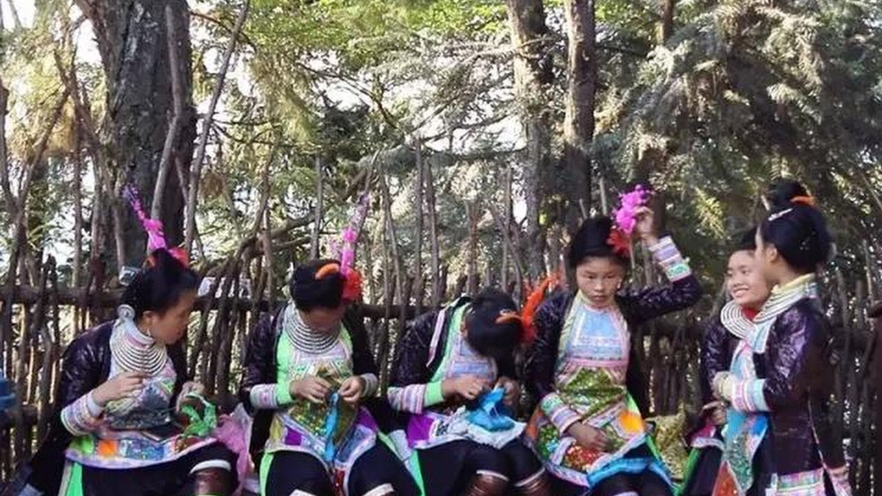 Miao Halkı: Ağaçlar İnsan Hayatını Sembolize Ediyor