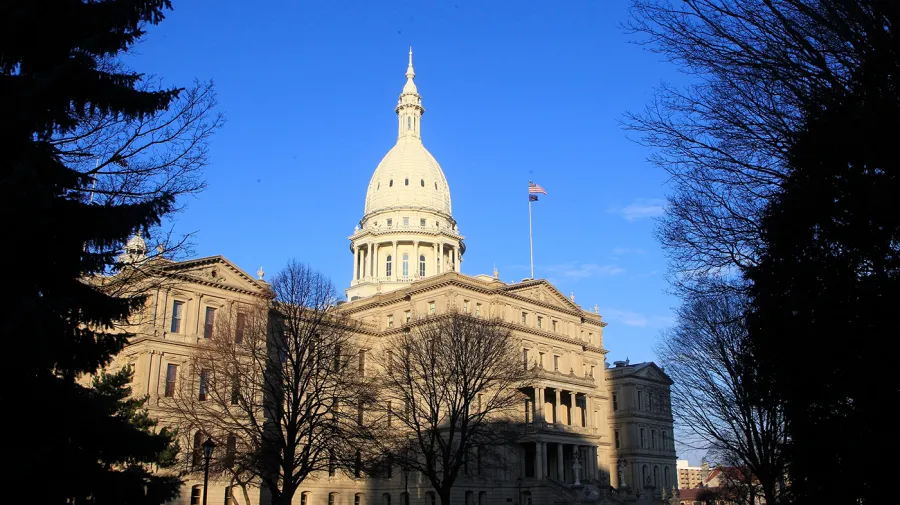 Michigan adayı DSA'dan ayrılarak bölgeyi 'birleştirmek' istiyor