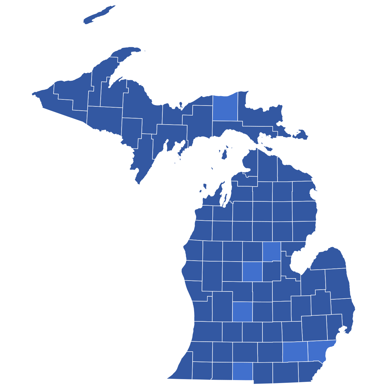 Michigan'da Demokratik ön seçim gerginliği: Biden'a protesto oyu tehdidi
