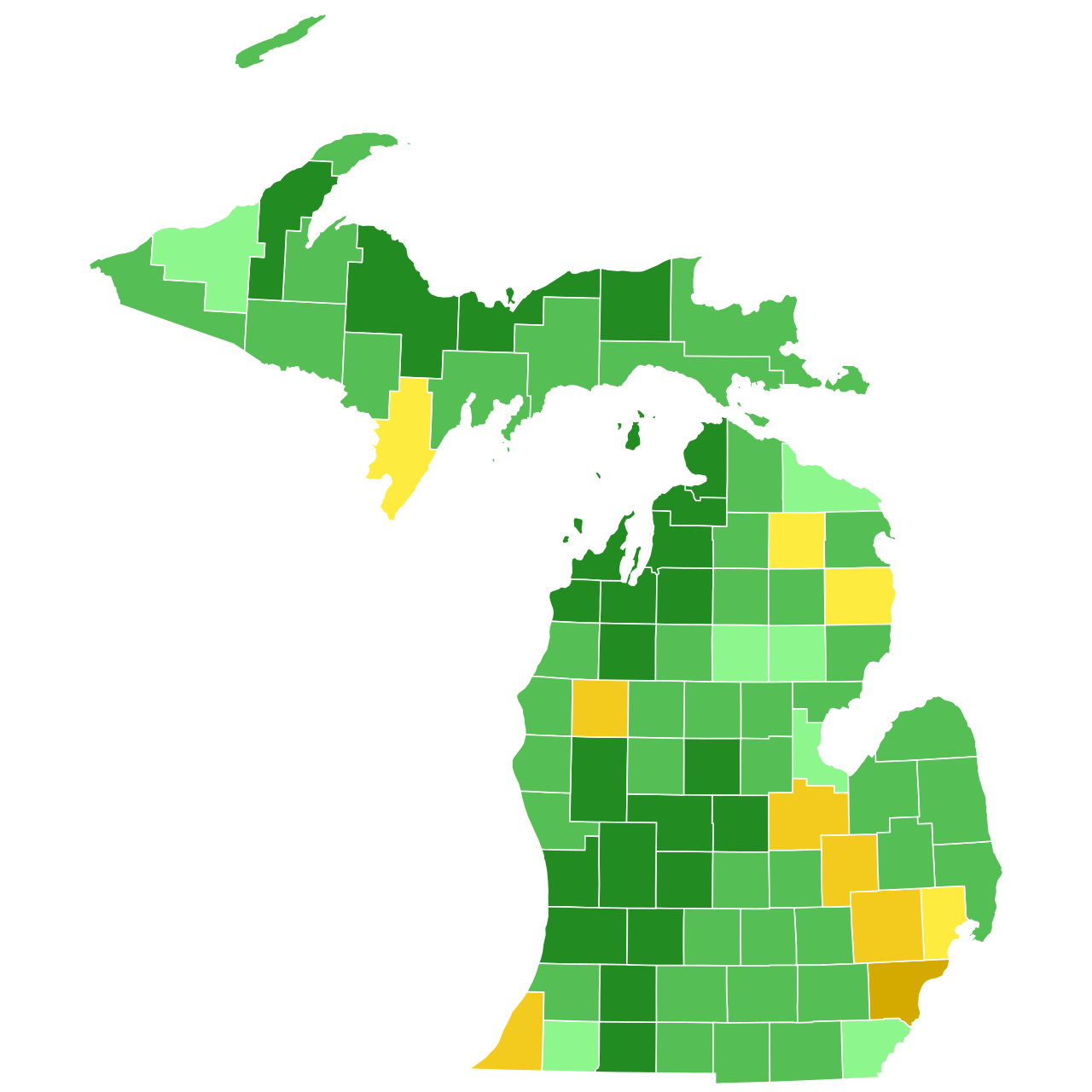 Michigan Demokrat Ön Seçimi Parti Kontrolü İçin Kritik Savaş
