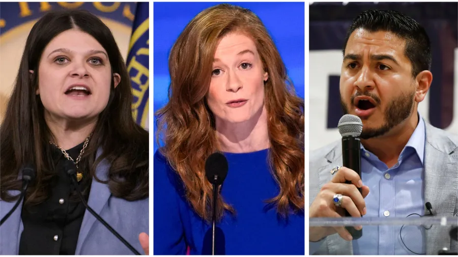 Michigan'da Demokrat Senato ön seçimi iki adaya indi
