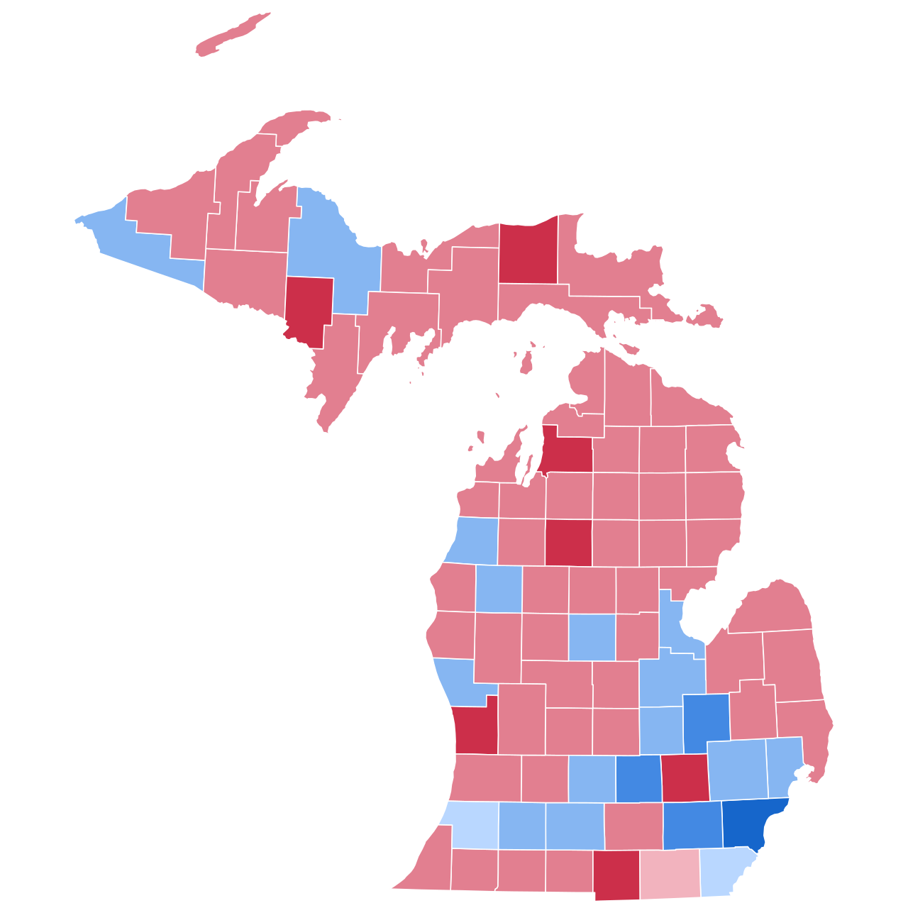Michigan'da Demokratlar Ön Seçim İçin Adayını Arıyor