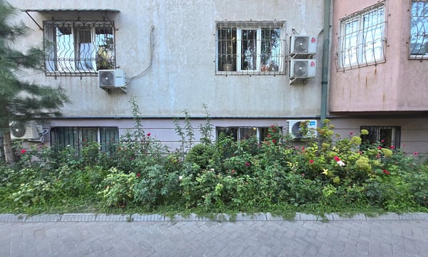 Minyatür Sünger Şehirler İklim Değişikliğiyle Mücadelede Yeni Umut mu