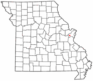 Missouri'de uyurgezerlik yapan 10 yaşındaki çocuk gölette boğuldu