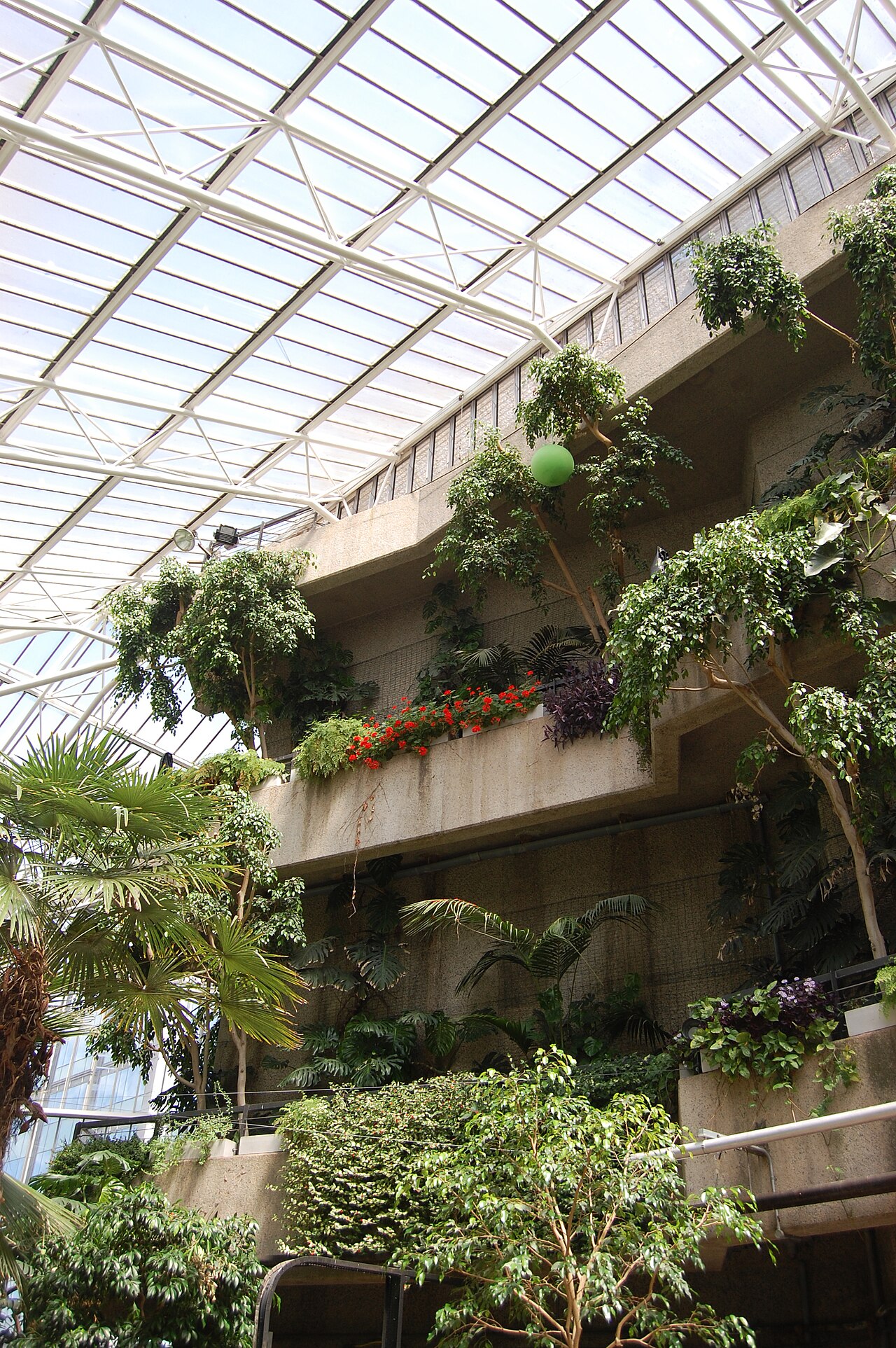 Monstera büyüsü: Barbican serası yenilenene kadar kentsel akciğer kapanıyor