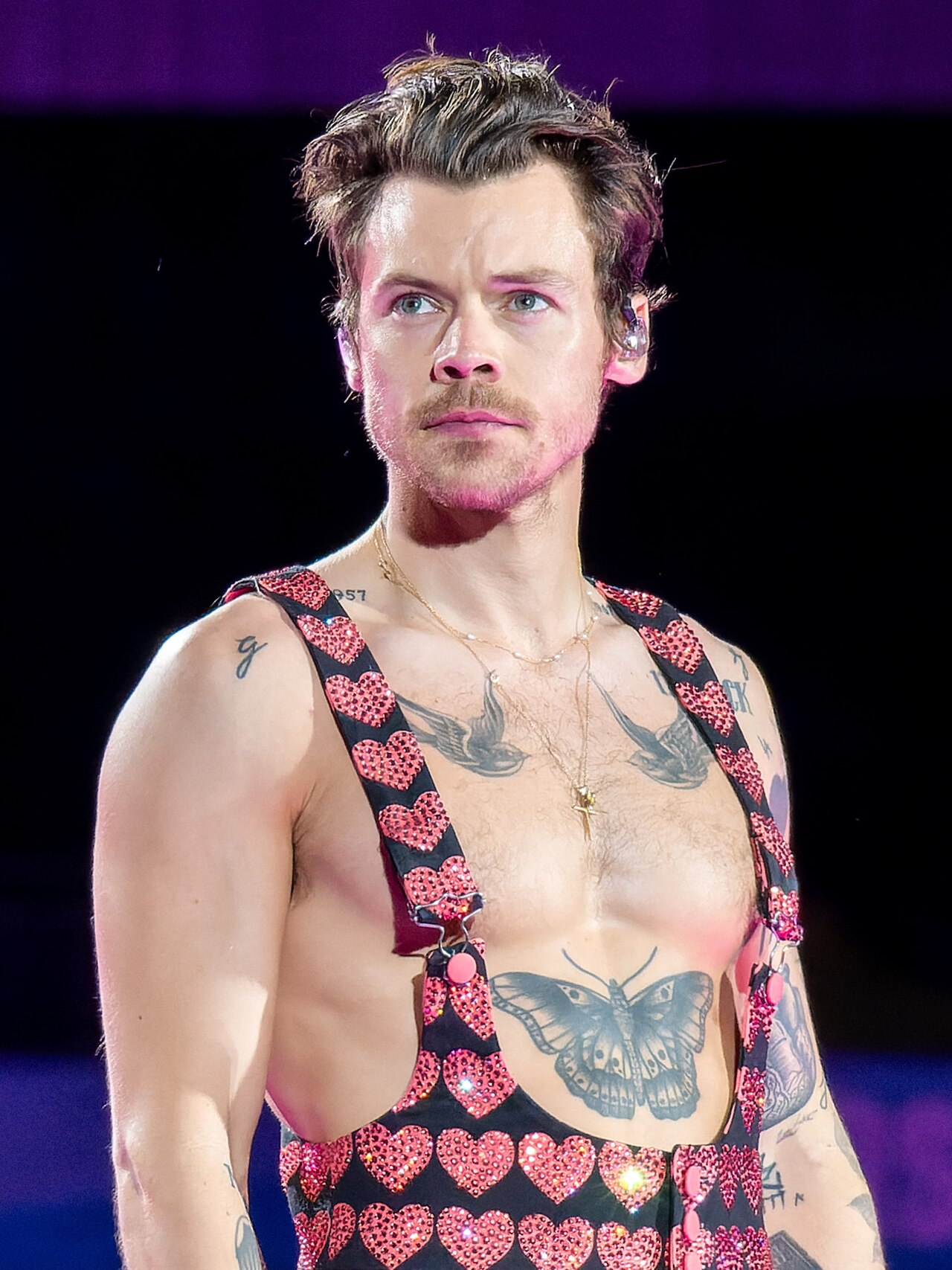 Harry Styles ve diğer megastarlar artık sizin onlara gelmenizi bekliyor