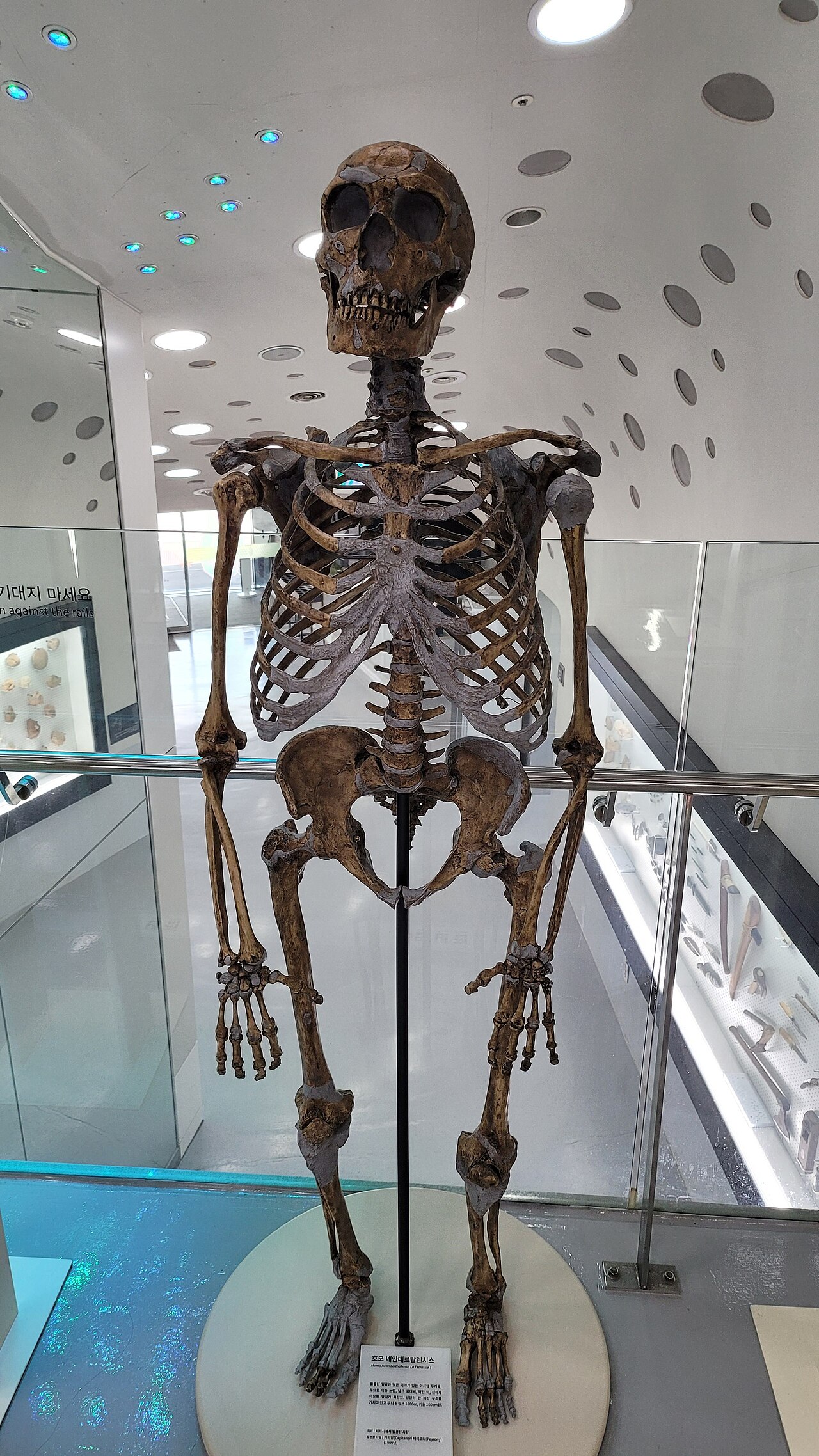 Neandertaller diş hekimi miydi