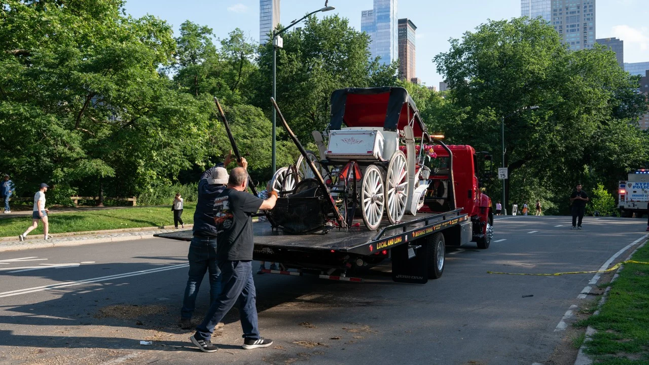 New York Central Park'ta At Arabası Kazası: 18 Yaşındaki Genç Hayatını Kaybetti