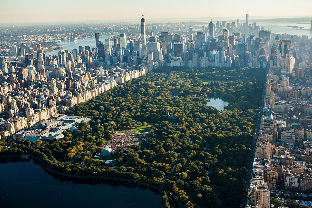 New York Central Park'ta atlı fayton kazası: 18 yaşındaki genç hayatını kaybetti