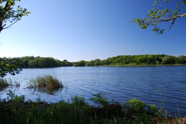 Norfolk Broads'ta 'nakit çöpe' vergisi tepki çekti: 16 bin konut için çevresel etki düşük