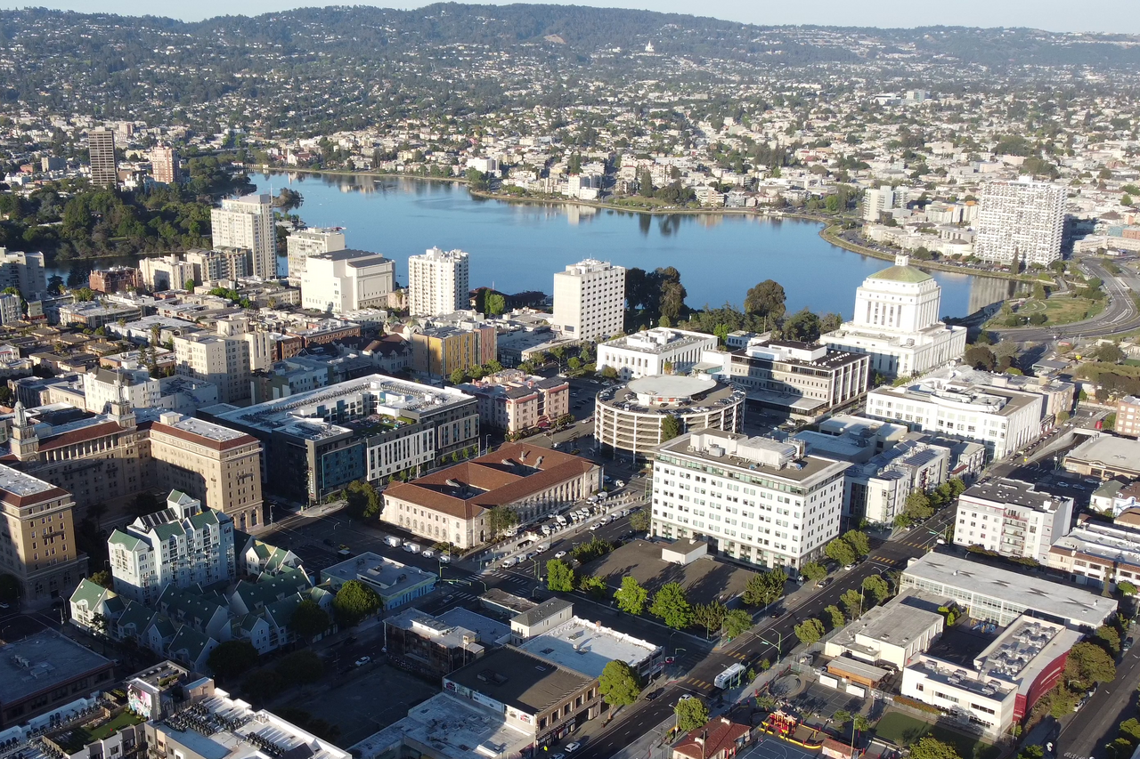 Oakland 38 Ağaç Kesti Diye Mülk Sahiplerine 1 Milyon Dolar Ceza