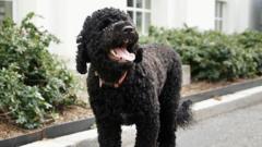 Obama Ailesinin Köpeği Sunny Hayatını Kaybetti