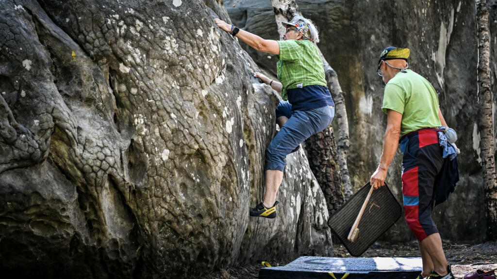 Paris yakınlarındaki Fontainebleau Ormanı yangın sonrası yeniden açıldı