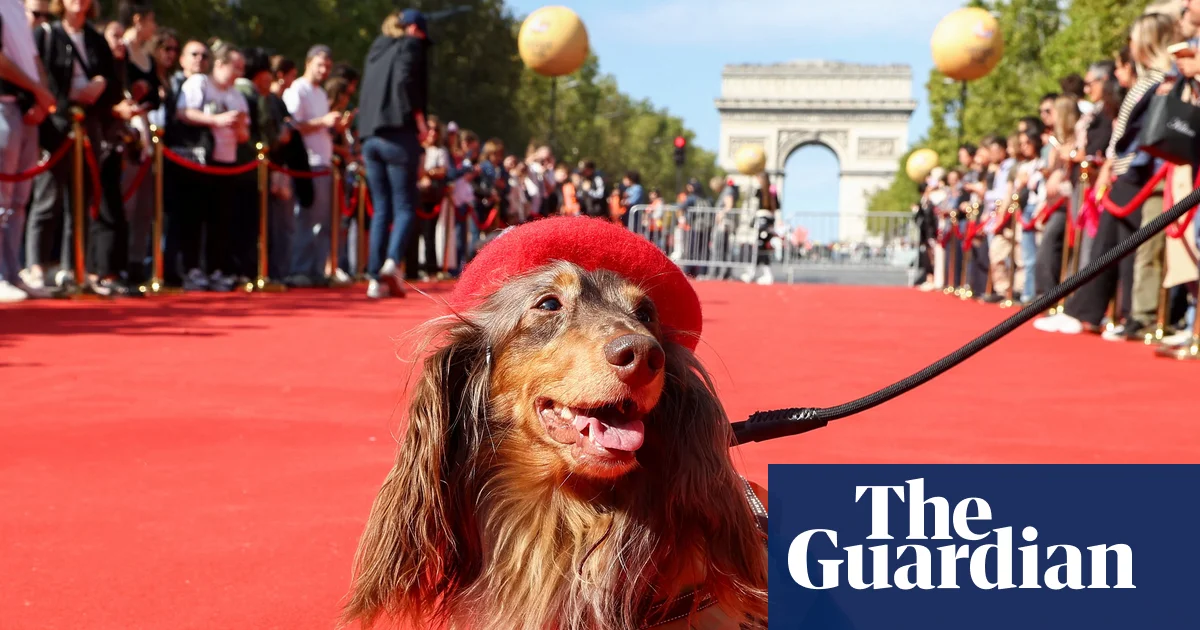 Paris'te Sosisli Yürüyüş: Yüzlerce Dachshund Şanzelize'de