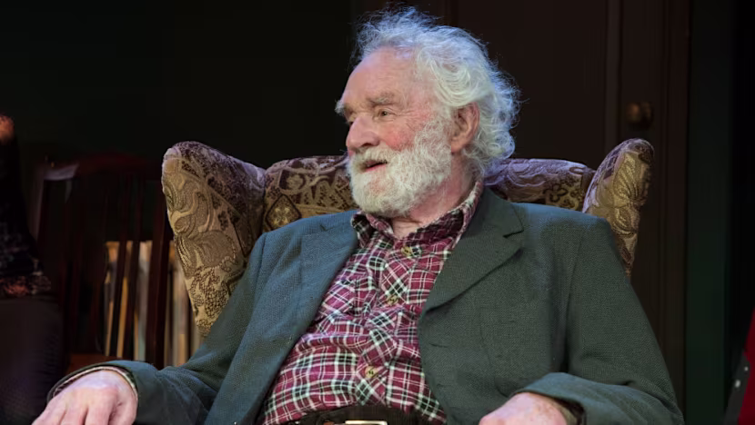 Ever After'da Leonardo da Vinci'yi Canlandıran İngiliz Oyuncu Patrick Godfrey 93 Yaşında Vefat Etti