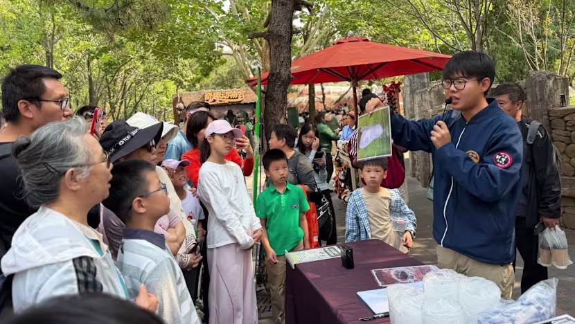 Pekin'de Tatilciler 'Orman Yemek Canavarı' Tırtılını Avlıyor