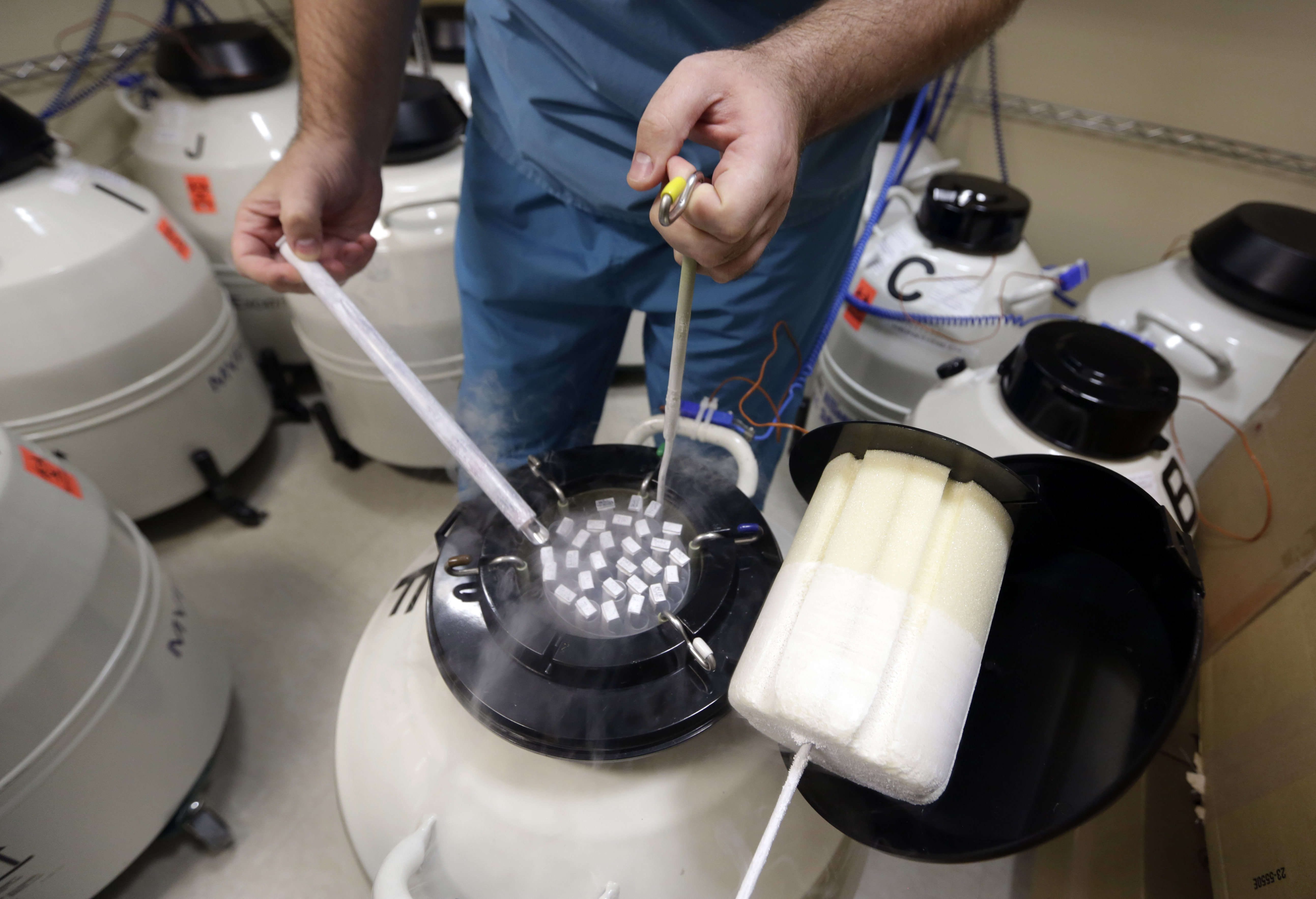Pentagon askerlere sperm ve yumurta dondurma desteğini başlatıyor