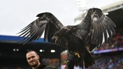 PETA'dan Crystal Palace'a: Kartal maskotunuzu emekliye ayırın