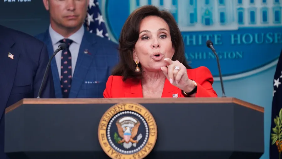 Pirro'dan Anıt Havuzu'na saldıranlara dava tehdidi