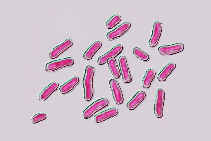 Popüler dondurulmuş atıştırmalık salmonella endişesiyle geri çağrıldı: Tam liste