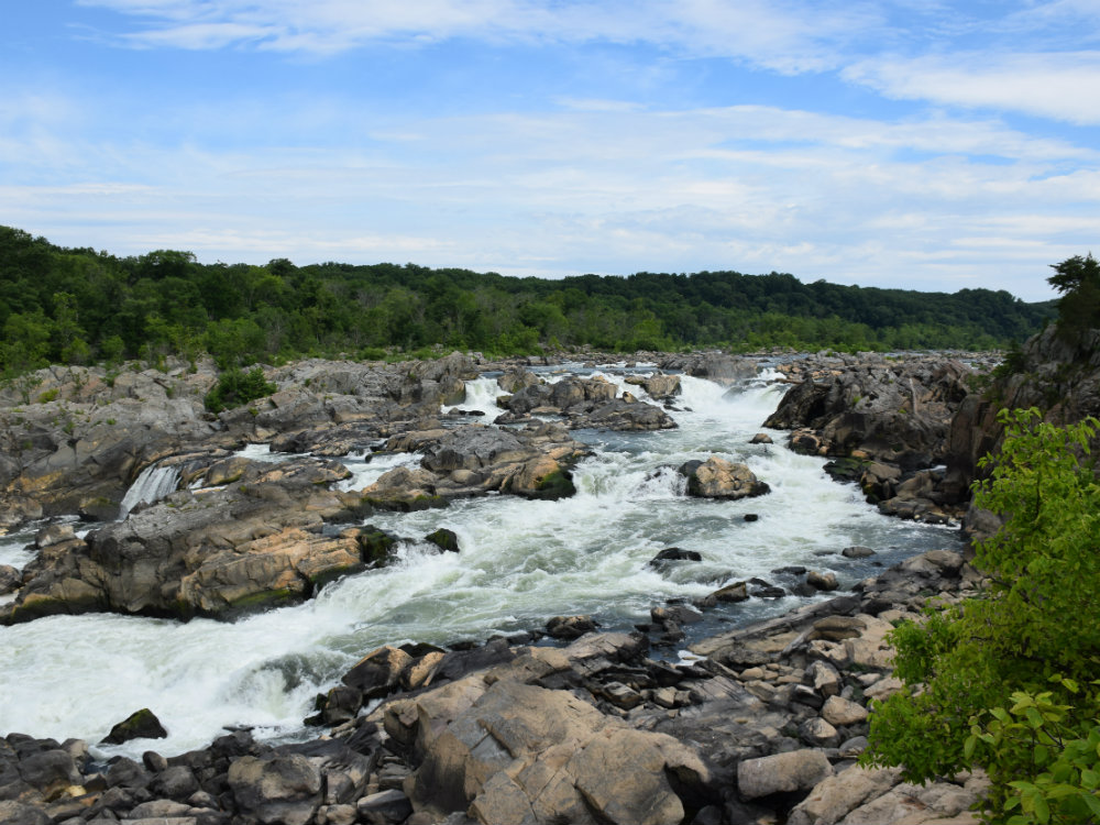 Potomac Nehri'nin Ötesi: Amerika'nın Yerli Mirası