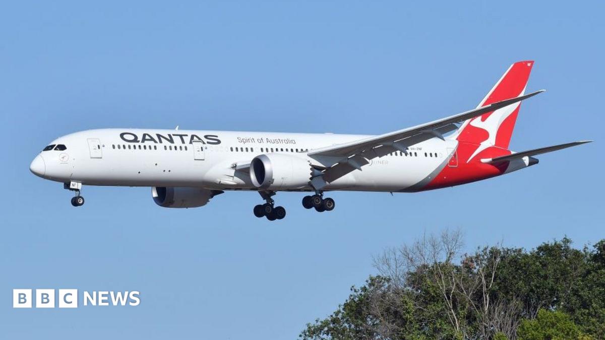 Qantas uçağında tahtakurusu salgını: sefer iptal edildi