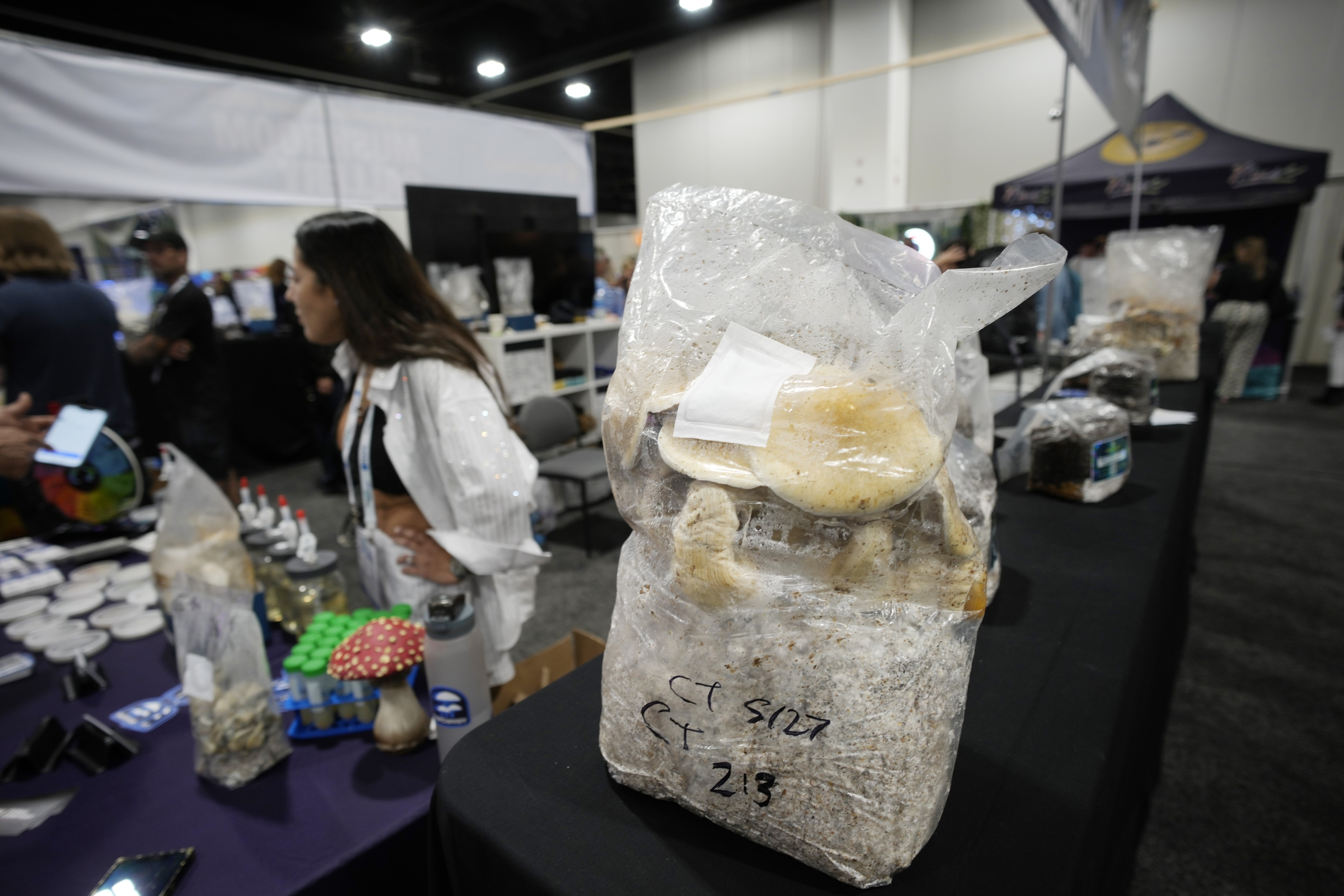 RAND: 5 Milyon Gazi, Magic Mushroom ve LSD Kullandı