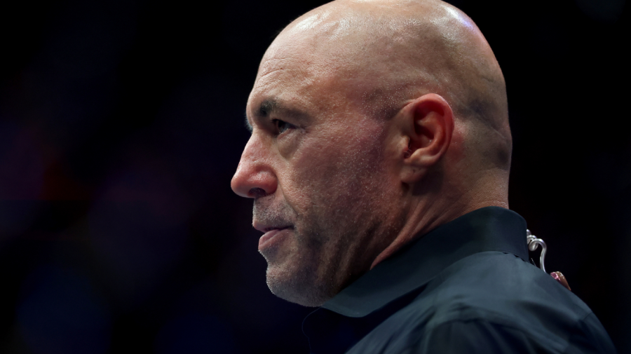 Rogan: ICE operasyonları tehlikeli bir emsal oluşturuyor