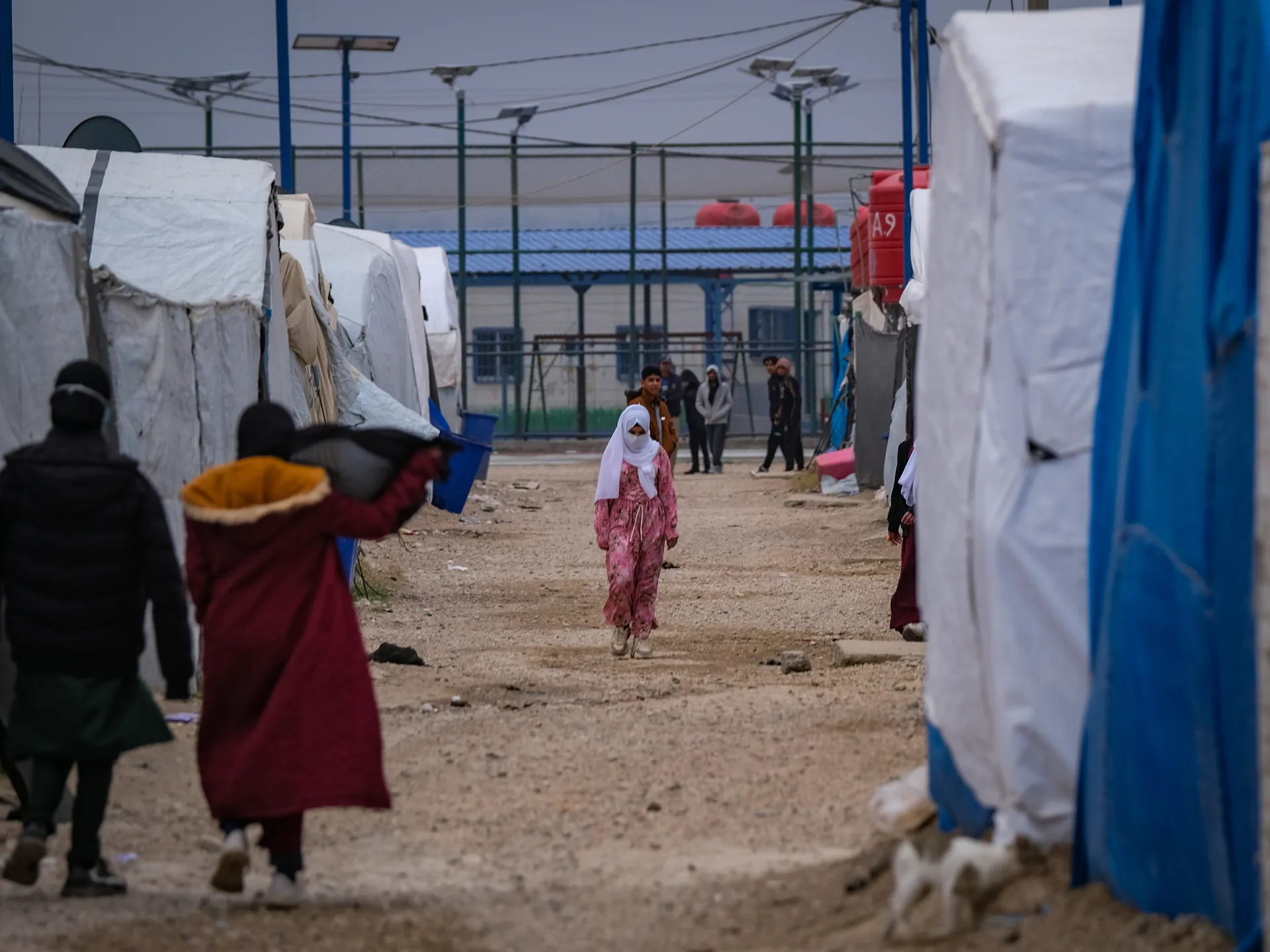 Roj Kampı'nda IŞİD Bağlantılı Tutuklular: Gece Baskınları, Haraç ve Şiddet İddiaları