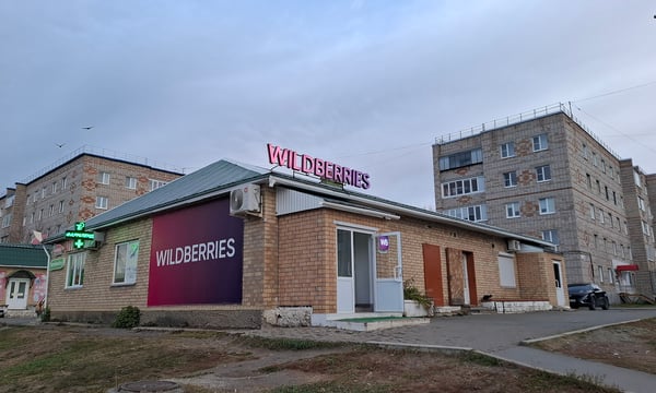 Rus e-ticaret devi Wildberries Orta Asya'da büyüyor