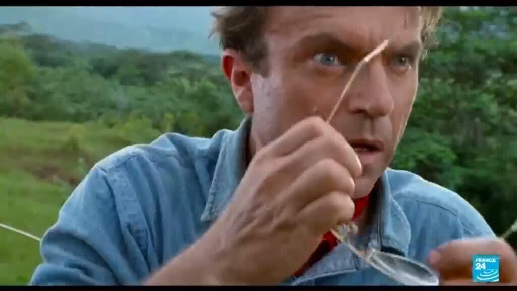 Yeni Zelandalı ünlü aktör Sam Neill 78 yaşında hayatını kaybetti