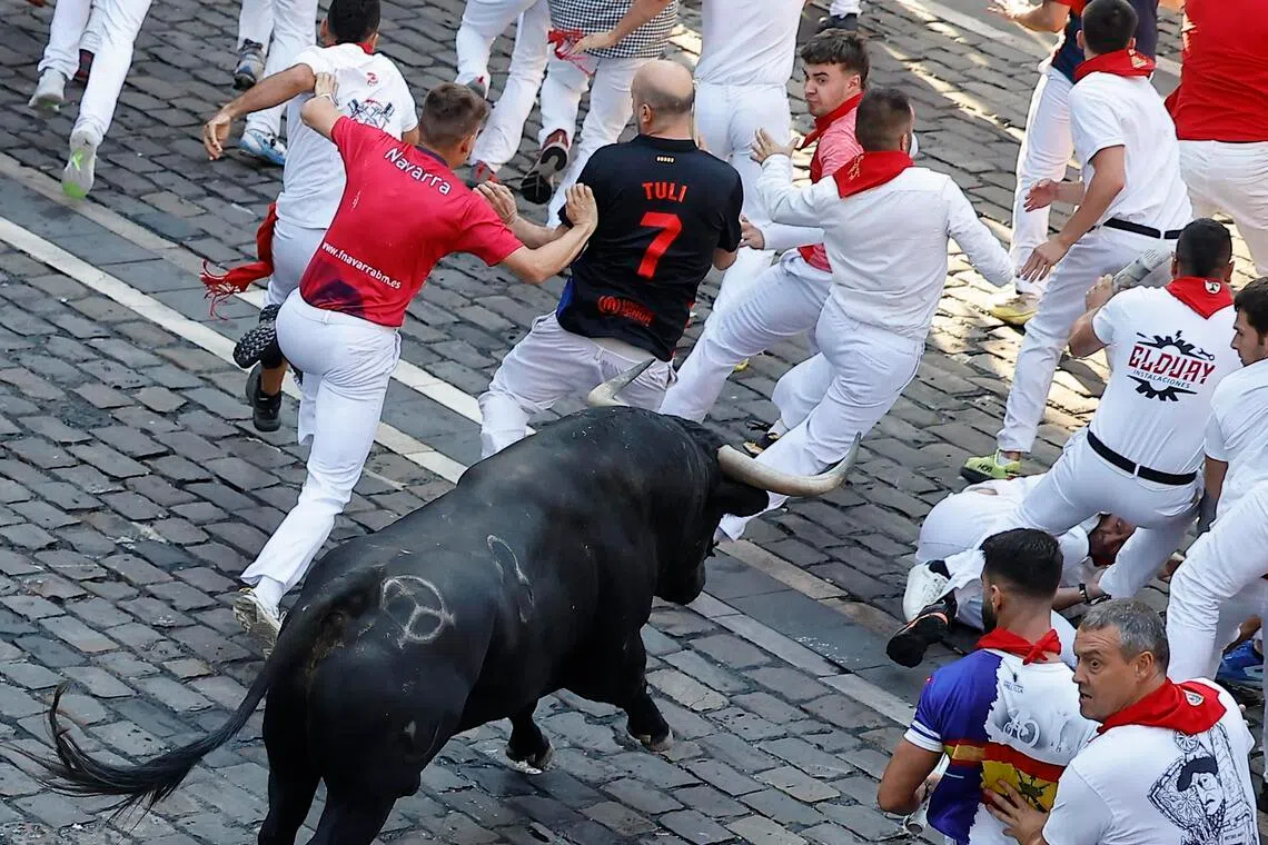San Fermin boğa koşusunda 57 yaralı