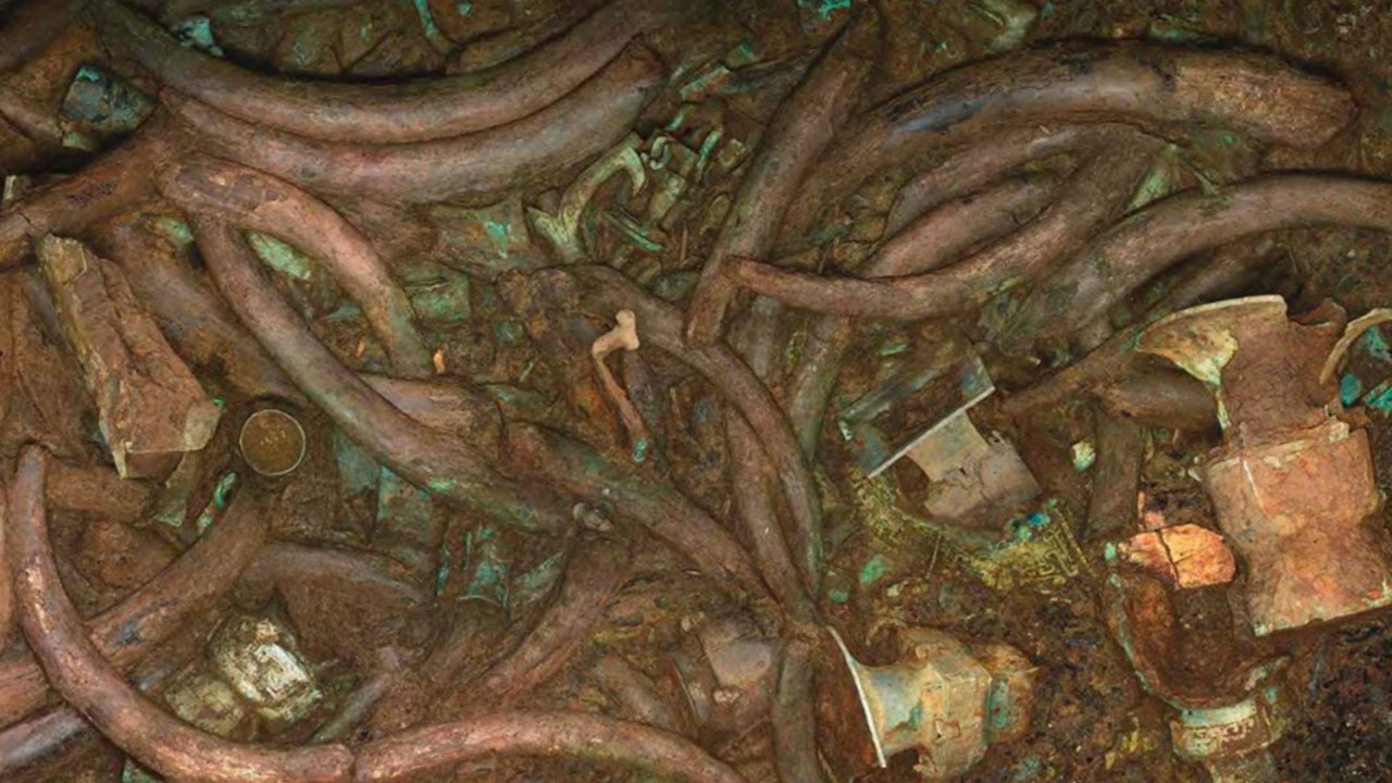 Sanxingdui'de Hayvan Kurbanı Ritüeli İzleri Bulundu