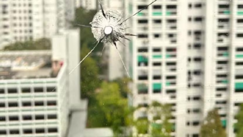 Sapanla kuşlara ateş açan adam, pencereye isabet eden misketle yakalandı