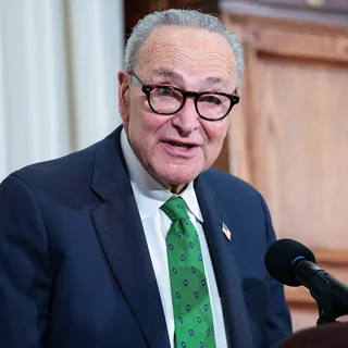 Schumer'ın çoğunluk yolu Demokrat eleştirmenlerinden geçiyor