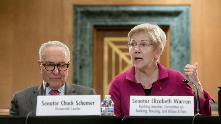 Schumer-Warren rekabeti: Demokrat Parti'nin geleceği için mücadele