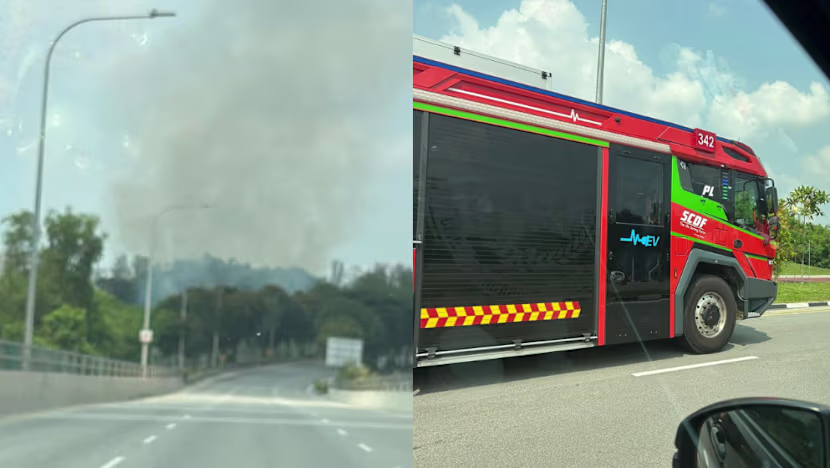 Seletar Link'te 3 Hektarlık Yeşil Alanda Yangın Söndürüldü