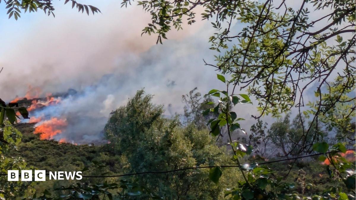 Sıcak Hava Dalgası Orman Yangınını Büyütüyor: 36 Ev Tahliye Edildi