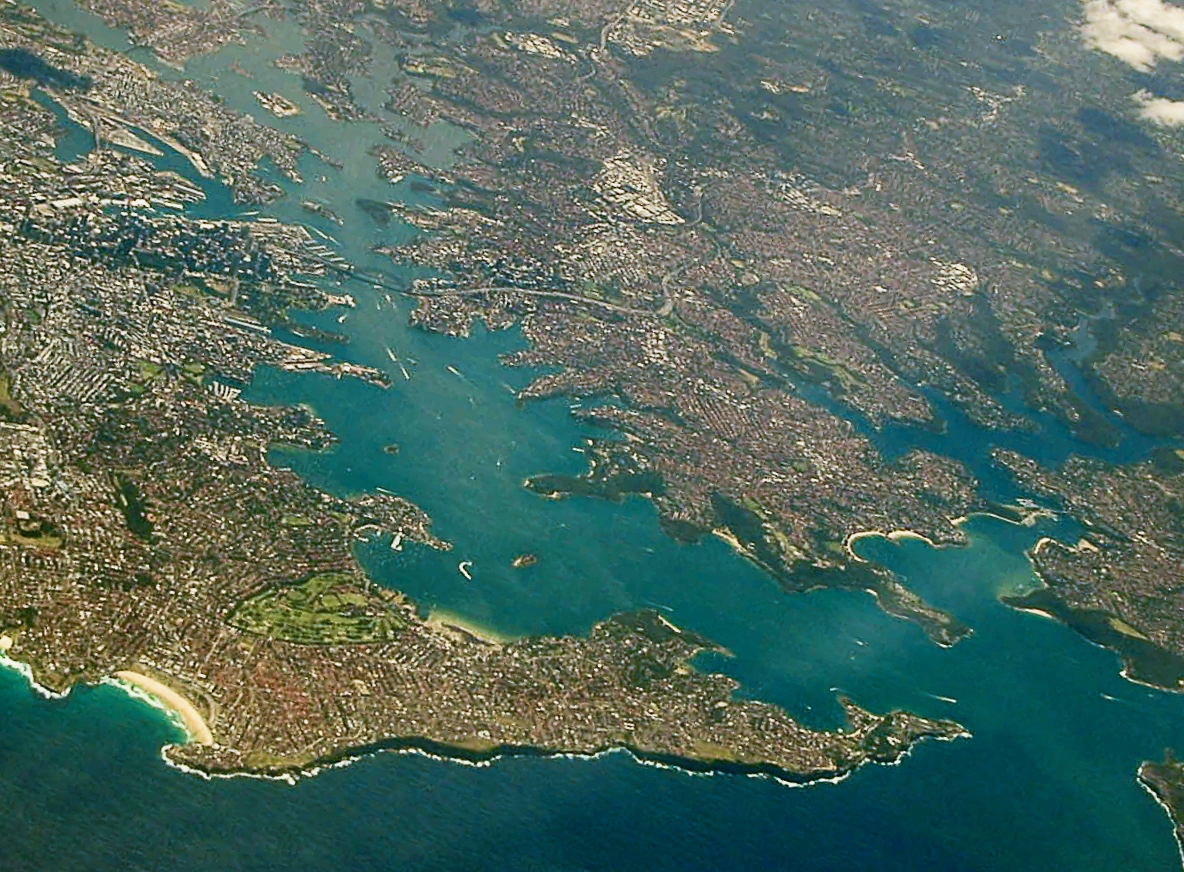Sidney'de 287 Ağacı Kesti, 200 Bin Dolar Ceza Aldı