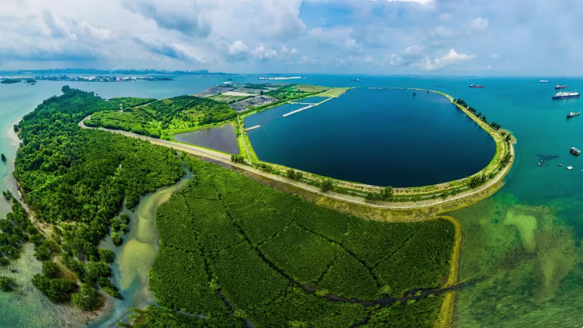 Singapur 50 yıl ilerisini planlıyorsa doğa için de yapabilir