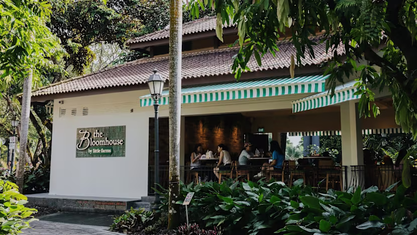 Singapur Botanik Bahçesi'nde Yeni Gurme Restoran Açıldı