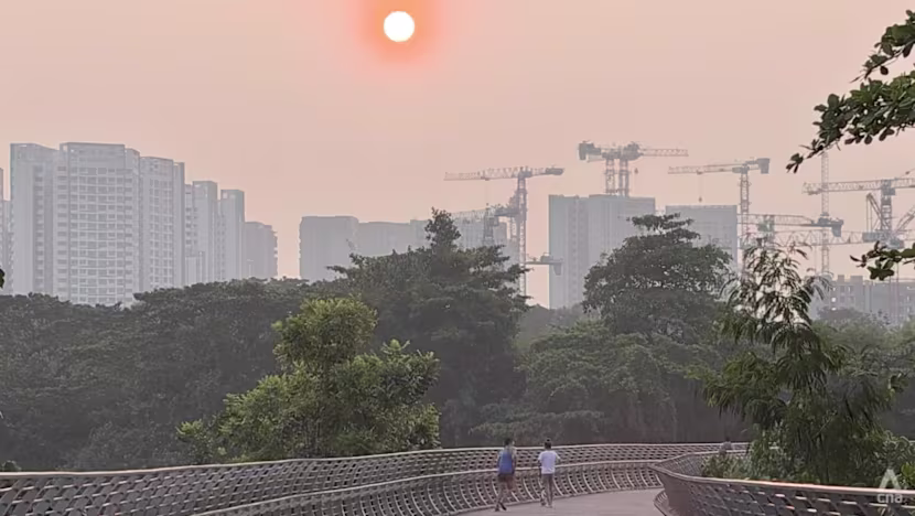 Singapur'da Hava Kalitesi Merkez ve Batıda Sağlıksız Seviyeye Ulaştı
